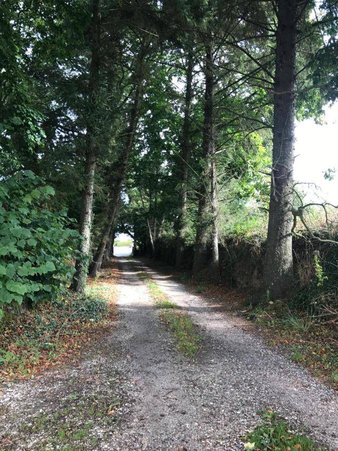 Parc Ar Brun Bihan Minihy-Tréguier エクステリア 写真